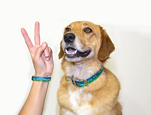 Friendshipcollar Dog Collar And Friendship Bracelet - Magical Malachite - Medium #TOP7
