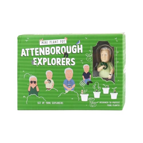 Marqueurs pour plantes Attenborough pour ne plus confondre vos variétés de pots