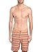 Robert Graham Men's Tonga Swim Trunk