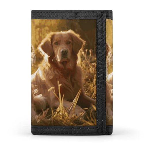 Small Wallet - Trifold Wallets Two Golden Retrievers Purse with 1 Cash Compartment And 8 Card Slots Money Clip