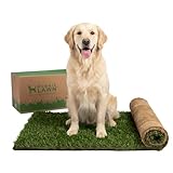 DoggieLawn Dog Potty - Real Grass - XLarge 24x48 inches
