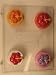 Hibiscus on cookie mold format AO247 All Occasion Chocolate Candy Mold