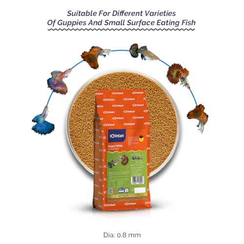 Image of Intan Aquatic Guppy Pellet Fish Food | Floating Pellet For Health And Growth | 0.8 MM Dia, 1 kg, Pack of 1,All Life Stages