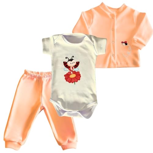 Genérico, Body, casaquinho e mijãozinho menina recém nascido a 12...