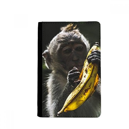 Étui passeport singe terrestre porte-cartes de voyage multicolore classique
