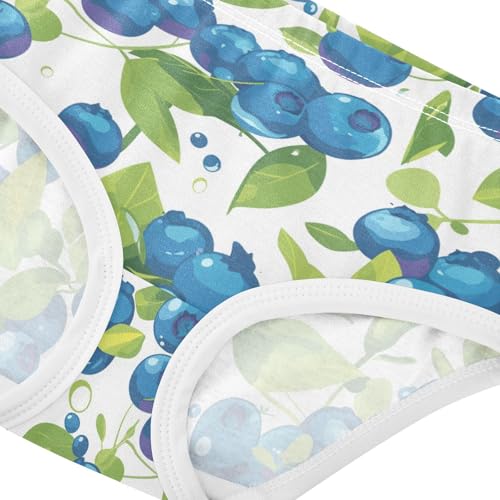 Wusikd Blueberries Fruity Girls' Underwear Cotton Girls Briefs Soft Toddler Underwear 2T4