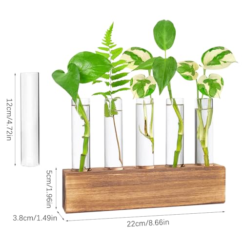 Station De Propagation, Vase en Verre pour Fleurs Terrarium, Hydroponie, Pot Planteur avec Support De Support en Bois pour Plantes Deau Verte Adapté pour La Maison Cuisine Tabl (5 Vases) – Image 3