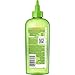 Garnier Fructis Sleek & Shine Glass Hair Water 10 Second Liquid Rinse Out, 98 Percent Naturally Derived Lamellar, for Shiny Hair, 6 Fl Oz (Packaging May Vary)