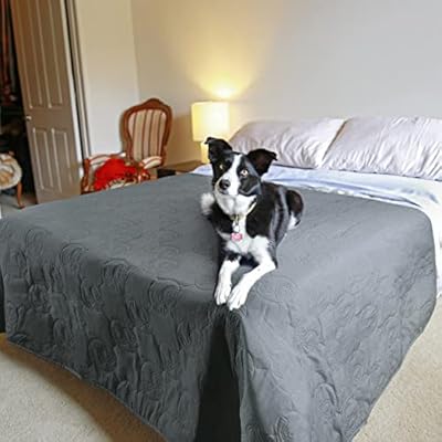 Pawsse Waterproof Dog Blanket for Couch, Washable Pet Couch Cover, Non-Slip Bed, Sofa Furniture Protector Mat, 203 x 152 cm, Grey