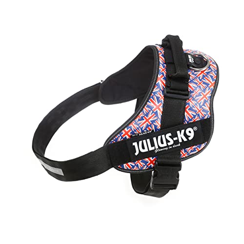 IDCp[n[lX, TCY: 4, jIWbN