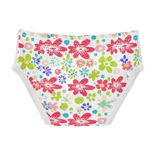 Colorful Flowers Red Petals Toddler Boy's Underwear 2T 202c12082