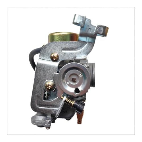 Carburador de 30 mm para Wildcat 260cc y Trailmaster 300 2