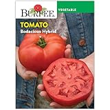 Burpee 'Bodacious Hybrid' Tomato Seeds - Non-GMO, Indeterminate, Disease-Resistant, Slicer Tomato, 45mg Seed Packet for Home Gardening