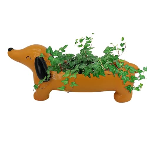 Generic Cactus Planter | Dachshund Dog Pot,Resin Cartoon Animal Flower Garden Pots, Cute Indoor Bonsai Plant Pot for Garden Decorations, Cactus Home Cafe Desk Decor