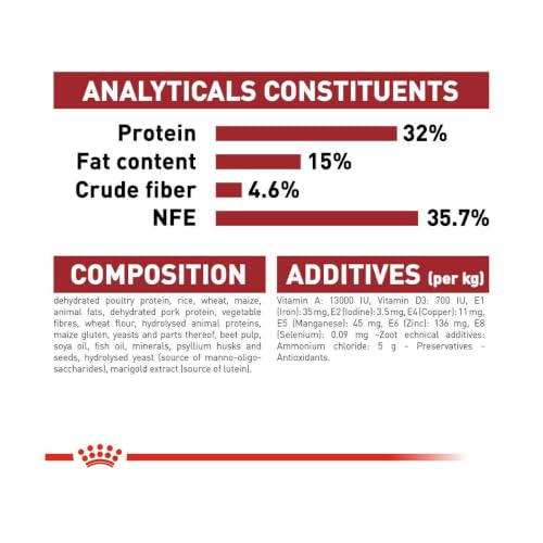 Image of Royal Canin Fit 32 Regular for Adult Cats, 400 Grams, Dry Food, Supports Optimal Nutrient Profile and Healthy Weight
