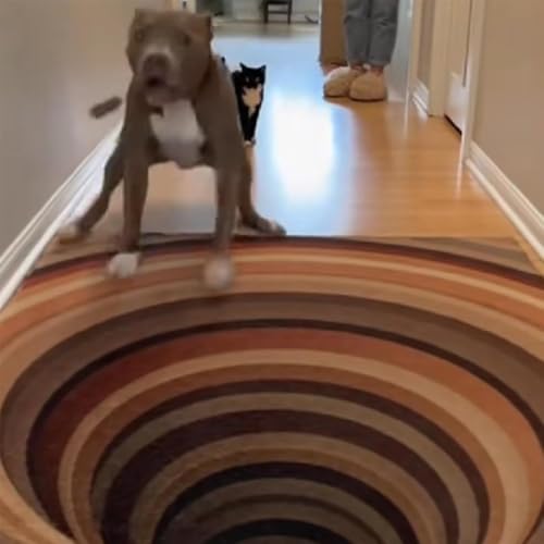 Tapis qui ressemble à un trou dans le sol lavable et sûr - 3