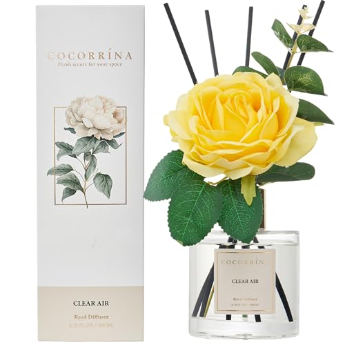 Cocorrina Reed Diffuser Set with Essential Oil