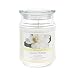 Scented 18 ounce Glass Jar Container Candle - Gardenia