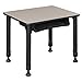 Romig 18.5 x 26 in Rectangle Height Adjustable Classroom School Desk with Book Storage- Maple