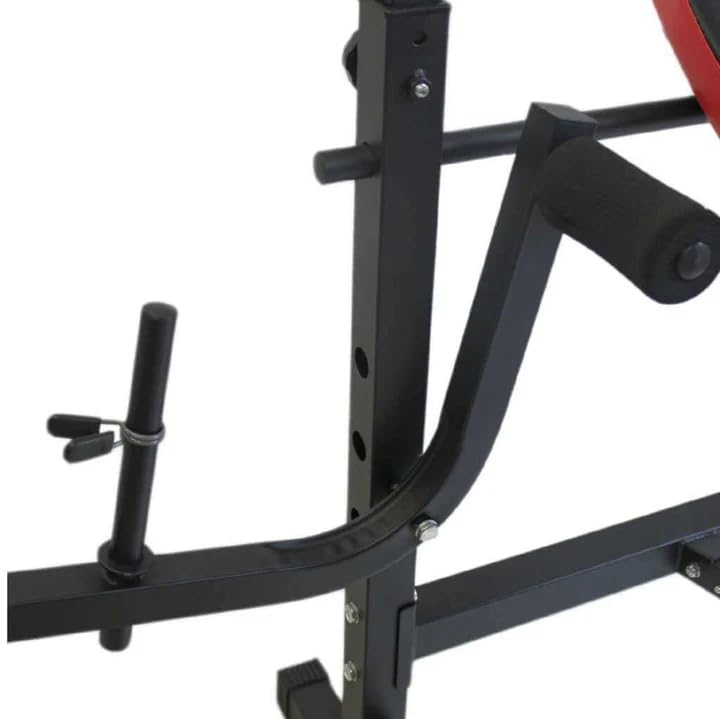 Panca Multifunzione Palestra Casa Addominali Pettorali Glutei Polpacci Dip Station Stazione FLMD758N