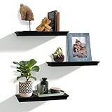 AHDECOR Black Floating Shelves, Wall Shelves with Invisible Brackets and Crown Molding Design Decora