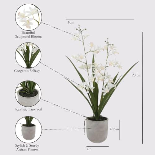 Image of CG Hunter Faux Vanda Orchid Plant, Premium Artificial Indoor Flower Display Stands 20.5 inch, Beautiful Sculptural Blooms that Lasts Forever, White Planter Pot Included