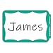 C-Line Pressure Sensitive Peel and Stick Name Badges, Green Border, 3.5 x 2.25 Inches, 100 per Box (92263)
