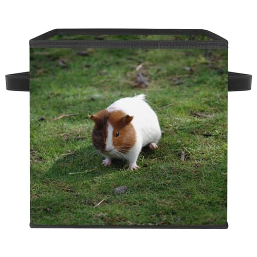 Boîte de rangement pliable en tissu pour gagner de la place dans la maison