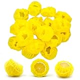 120 PCS Lemon Nets for Squeezing, Lemon Wedge Stretch Wraps Covers High Elasticity Lemons Net Bag for Home Kitchen Squeezing Making Seed Free Lemons Juice