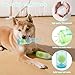 2 PCS Hundespielzeug Mit Wasserflasche, Bierflaschen Hundespielzeug mit Tennisball, Flaschen Kauspielzeug Hunde, Dog Quietschend Kauspielzeug, Spielzeug für Kleine Mittlere Große Hunde (Grün+Blau)