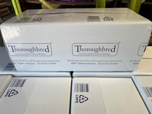 SCA Pillow Wad Large Bale Shavings 20Kg