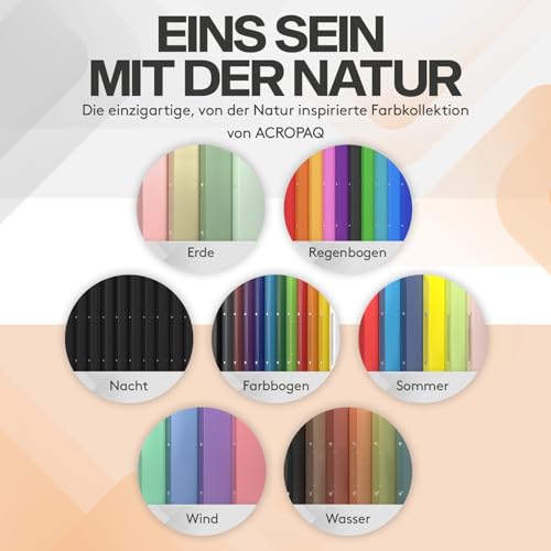 ACROPAQ – 10 x Ringordner A4 schmal, Ordner A4 in 10 bunten Farben mit 2 Ringen – inkl. Rückenetiketten – Ordner schmal für bis zu 200 Blätter – Rückenbreite 4 cm – Büro, Schule, Uni – Bunt