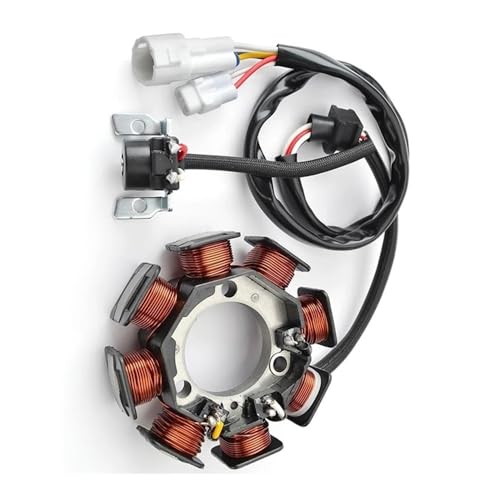 Bobine de stator pour moto Br 125 YFA1 modèles 2002 à 2004