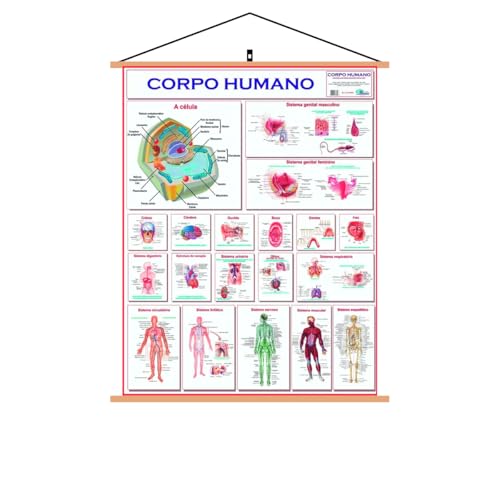 Banner - Mapa Corpo Humano Completo grande - Pronto para Pendurar