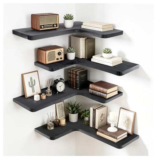 ABSWHLM Corner Floating Shelf Set
