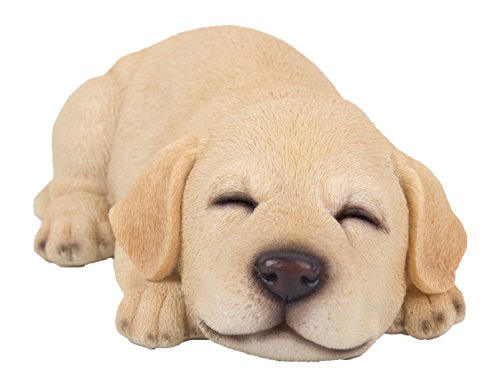 Hi-Line Gift Ltd. 87710-I Animal Statue