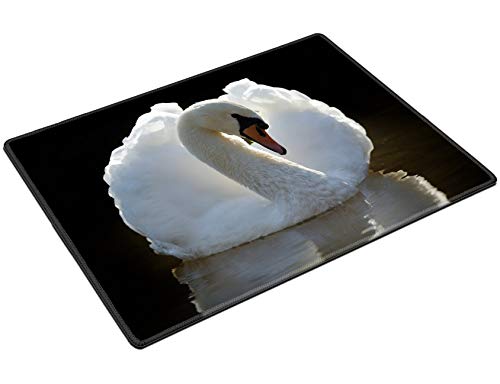 MSD Placemat Non Slip Natural Rubber Heat Resistance Table Mat Designed for 38367122 Swan in Lake on Dark Background