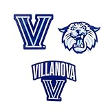 Desert Cactus Villanova University Acrylic Magnet 3 Pack Nova Wildcats Decorative Design Officially Licensed (Magnet Set A)