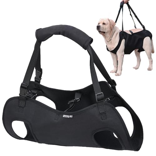 Harnais de transport pour chien, harnais de levage, aide au transport pour chien - Escalier pour handicapés, blessés ou chiens âgés (M)