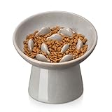 vancasso Ceramic Slow Feeder Cat Bowl, 6.25 Inch Elevated Cat Slow Feeder Bowl, Anti Vomiting for Dry and Wet Food, Grey