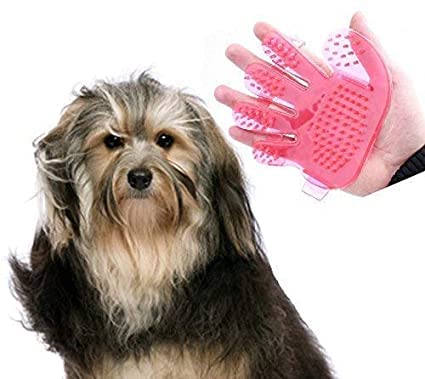 Amazon Brand RAGHUVIR Latest Rubber Pets Dogs and Cats Bath Grooming Cleaning Brush Bath Glove Palm Shaped Pets Massage Cleaning Brush Wash Head Scalp Massaging for Pets from Mites Lice Ticks for Dog Cat (Multi Color)