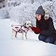 Oslueidy Hunde Winterjacken,Warme Hundemäntel Reflektierend Hundekleidung wasserdichte Welpenweste für kaltes Wetter mit Hundegeschirr für kleine mittelgroße Hunde