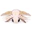Silk Moth/25.6inch
