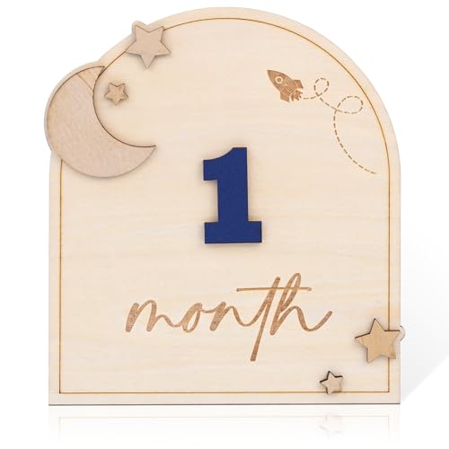 Wooden 3D Baby Monthly Milestone Cards Monthly Milestone Discs Newborn Photography Props Baby Announcement Sign Baby (BBL1)