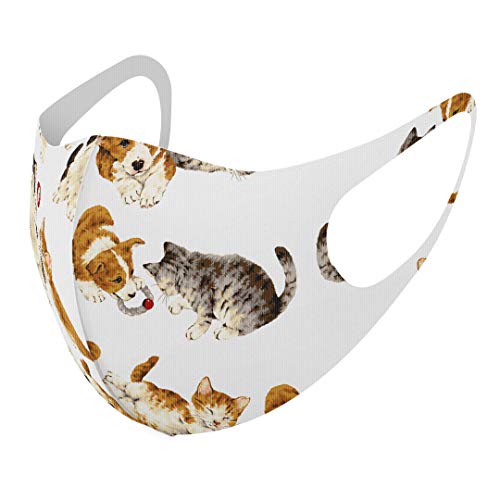 [X}R] fUC }XN QZbg |GXe 􂦂 z}XN jp 009839   L