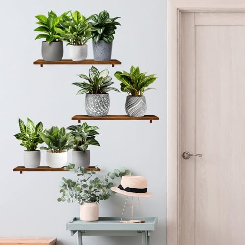 Adesivi Murali Piante, Realistico Verde Pianta In Vaso Impermeabile Wall Art Adesivi 3D Vinile Rimovibile Wall Sticker per Soggiorno Camera da Letto Bagno Cucina Decor Ufficio