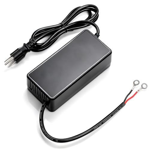 Diesel Heater Power Supply Adapter 110V to 12V/24V Transformer Power Converter Diesel Powered Parking Air Heater Charger for 2KW/5KW/8KW Chinese Diesel Heaters RV Camper House Garage