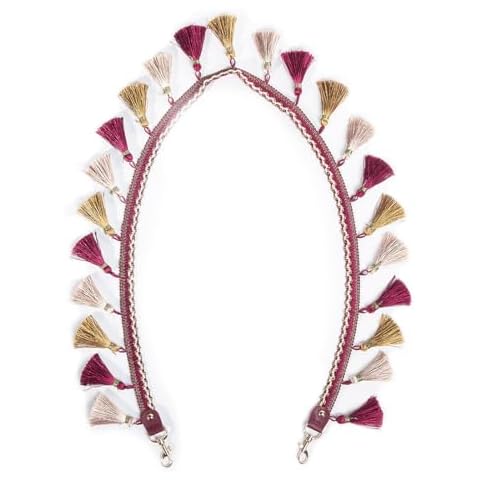 TANOSII Tassel Purse Strap Handbag Strap Replacement Shoulder Crossbody Strap Wine Red Cover