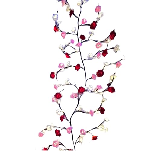 Guirlande lumineuse florale LED idee cadeau Saint Valentin mariage et anniversaire
