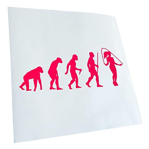 Kiwistar - Autocollant - Evolution - pink néon - G24 - Pour voitures, vélos, véhicules, motos, cyclomoteurs, tuning, vitres arrière